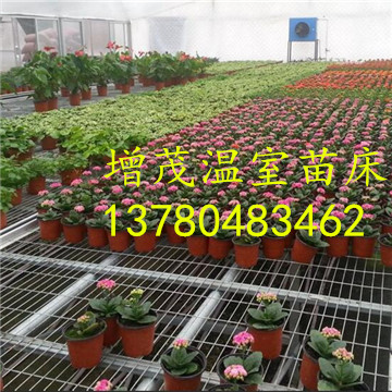 溫室<a href='/' target='_blank'><a href='http://www.yellowcabnet.com/miaochuangsheshi/203.html'target='_blank'>花架網(wǎng)</a></a>廠家 溫室<a href='/' target='_blank'><a href='http://www.yellowcabnet.com/miaochuangsheshi/203.html'target='_blank'>花架網(wǎng)</a></a>廠家