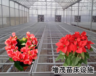 1472623746969919.jpg 盆景網(wǎng)片.jpg