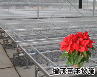 1472623966244109.jpg 鐵絲托架苗床.jpg