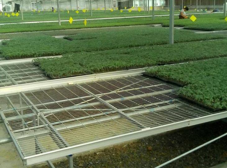 <a href='http://www.yellowcabnet.com/miaochuangsheshi/199.html'target='_blank'><a href='http://www.yellowcabnet.com/miaochuangsheshi/199.html'target='_blank'><a href='http://www.yellowcabnet.com/miaochuangsheshi/199.html'target='_blank'>育苗床</a></a></a>.jpg