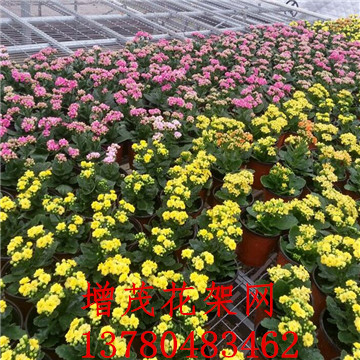 <a href='/' target='_blank'><a href='/' target='_blank'>溫室苗床</a>網</a>